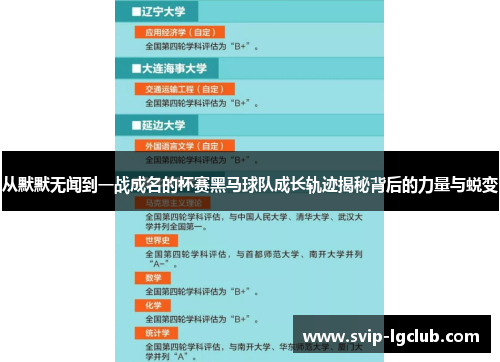 从默默无闻到一战成名的杯赛黑马球队成长轨迹揭秘背后的力量与蜕变